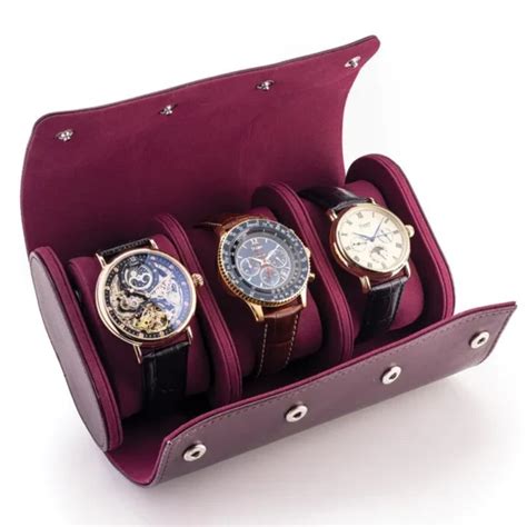 stauer watch case